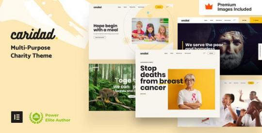 Caridad 51 – Charity WordPress Theme