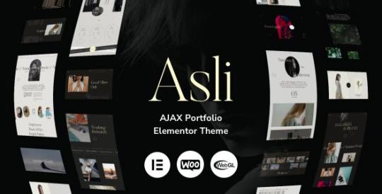 Asli 1.9.14 – Тема WordPress для портфолио на AJAX от Elementor