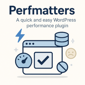 [WP] perfmatters - ускоритель Wordpress