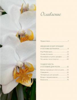 Великолепные орхидеи. Практичное руководство по уходу для начинающих