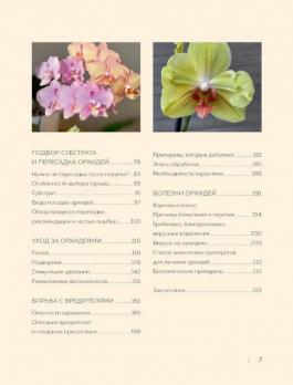 Великолепные орхидеи. Практичное руководство по уходу для начинающих