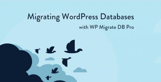 WP Migrate DB Pro 2.7.10 – Migrating WordPress Databases