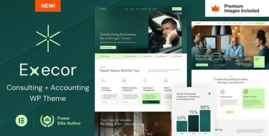 Execor 21 – Accounting and Management Consulting WordPress Theme