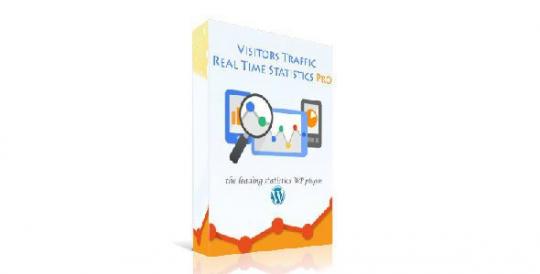 Visitor Traffic Real Time Statistics Pro 11.10