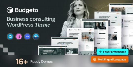 Budgeto 1.0.7 – Business Consulting WordPress Theme