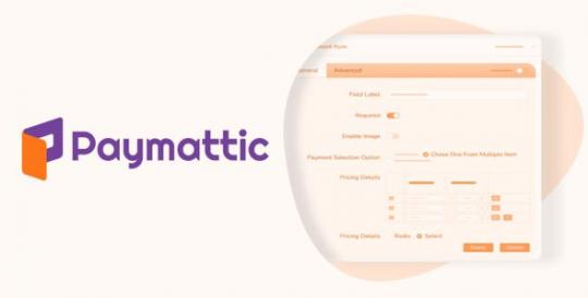 Paymattic Pro 4.6.23 – WordPress Payment and Donation Plugin
