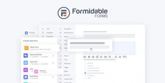 Formidable Forms Pro 6.33 + Addons – WordPress Forms Plugin and Form Builder