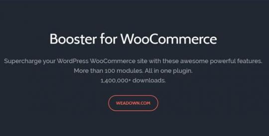 Booster Plus for WooCommerce 8.2.0
