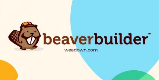 Beaver Builder Pro 2.11.0.4 + Beaver Themer Plugin 1.5.2.3 – WordPress Page Builder Plugin