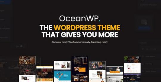 OceanWP 4.2.1 + Premium Extensions