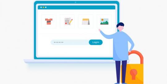 Protect Your WooCommerce Categories 2.8.2